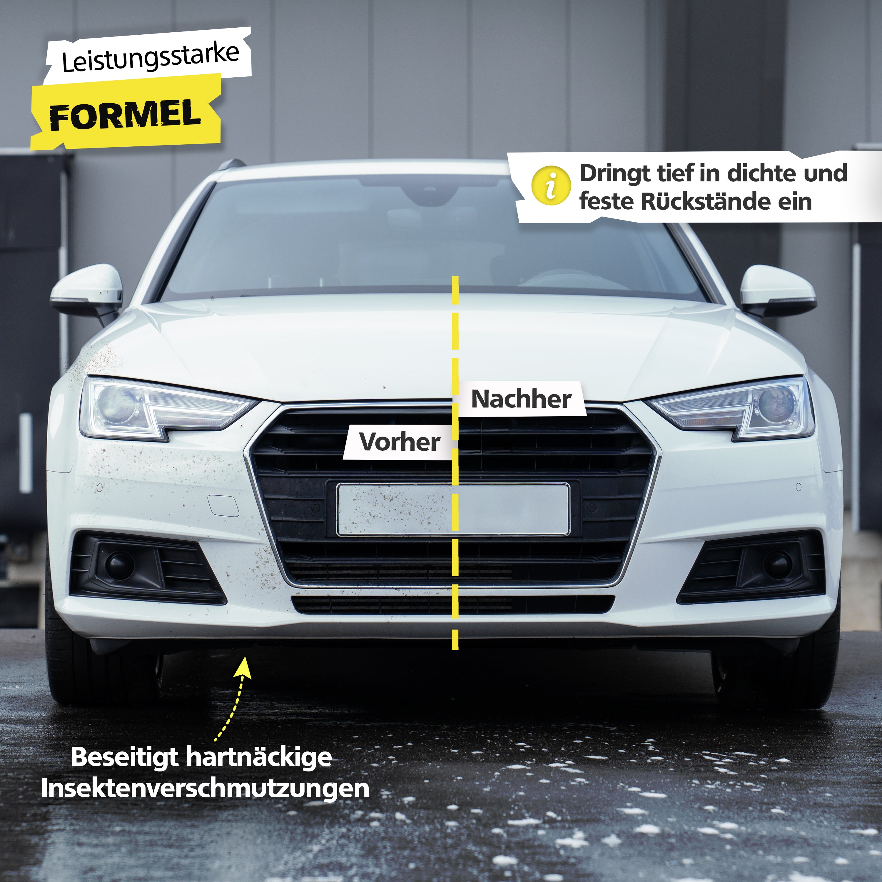 SPRINGER - GX1000 - Insektenentferner - Made in Germany