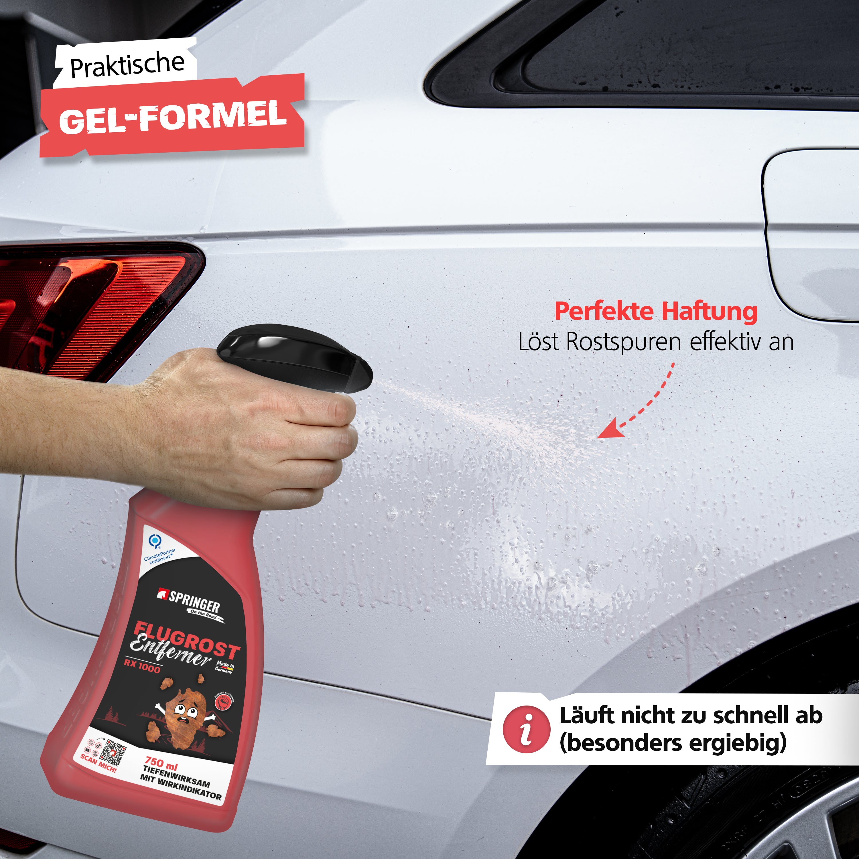 SPRINGER - RX1000 - Flugrostentferner - Made in Germany