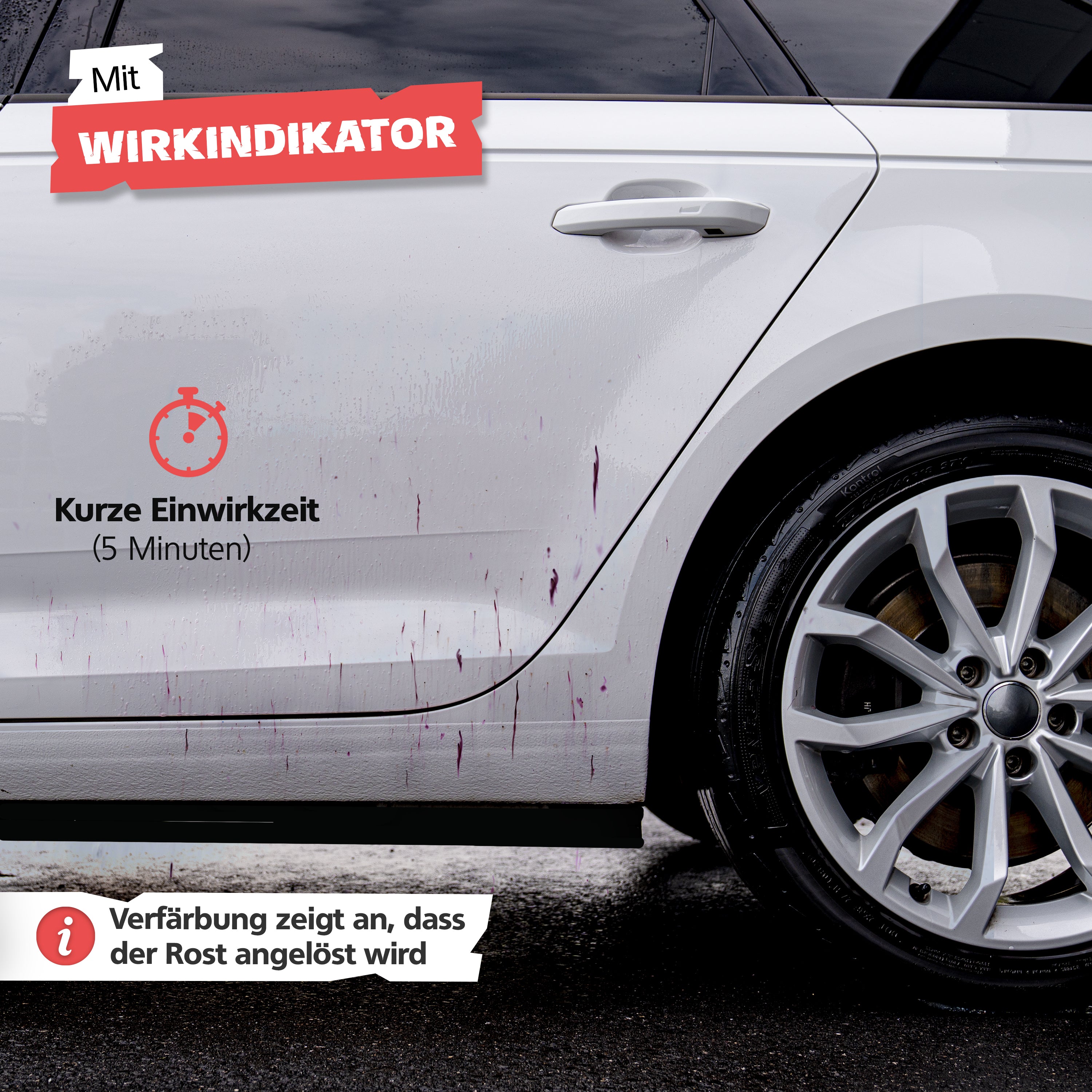 SPRINGER - RX1000 - Flugrostentferner - Made in Germany