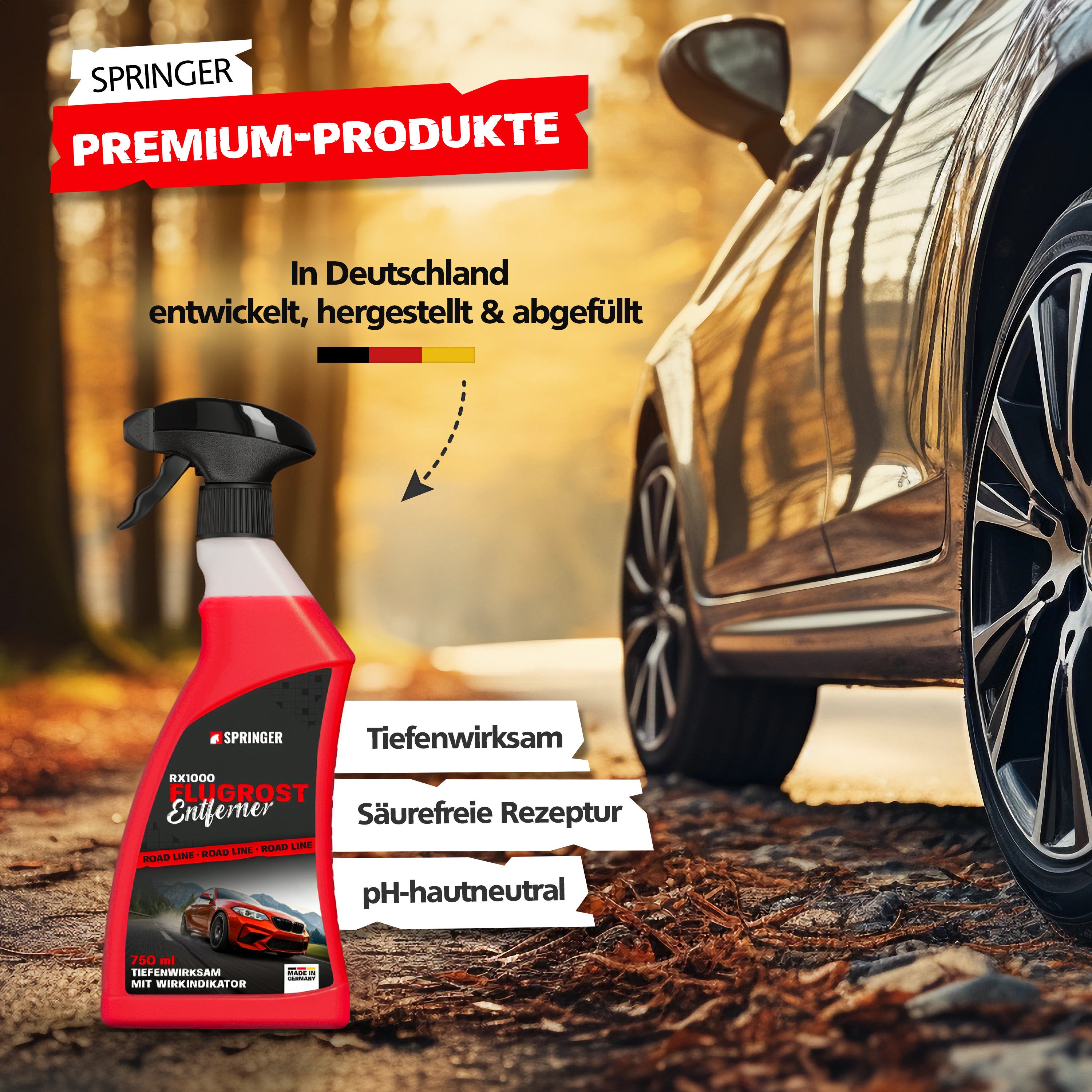 SPRINGER - RX1000 - Flugrostentferner - Made in Germany