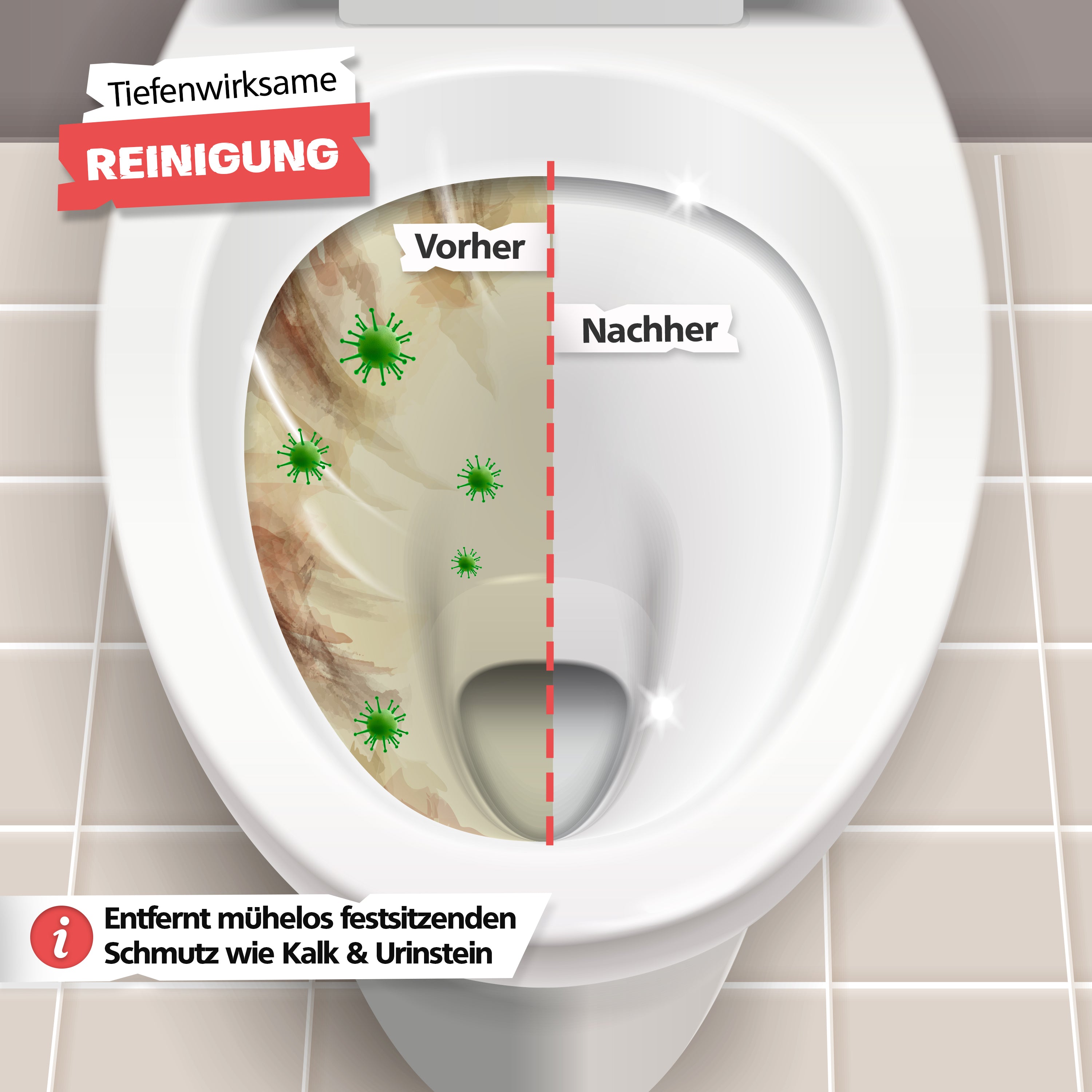 SPRINGER - ZX6000 - Bimsstein WC 3er Set - Assembled in Germany